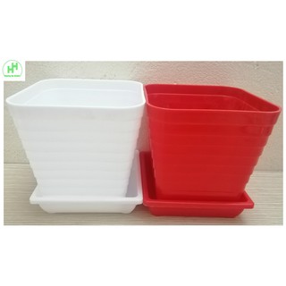 ComBo 5 Chậu Nhựa Trồng Cây Mini Có Đế Đỡ Kích Thước 12x12x12Cm