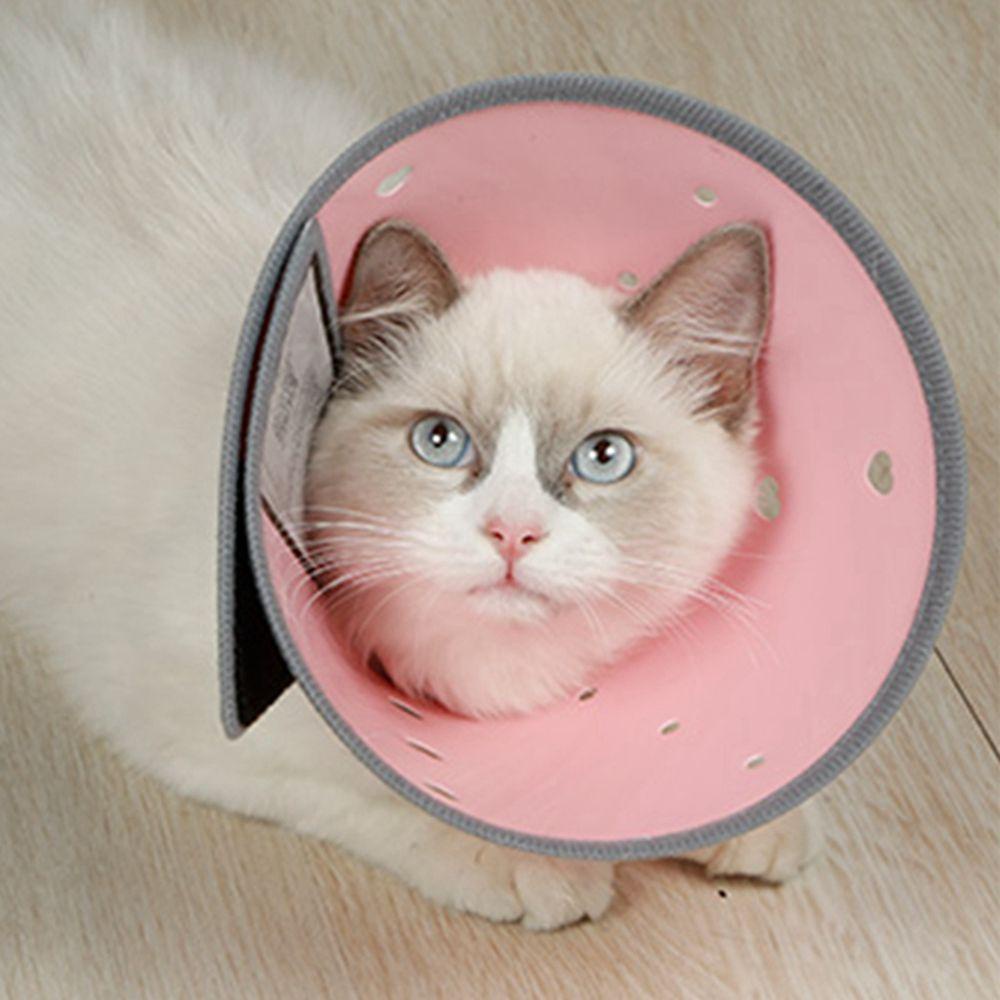 Vòng Cổ Hình Nón Bảo Vệ Vết Thương Chống Cắn Cho Thú Cưng