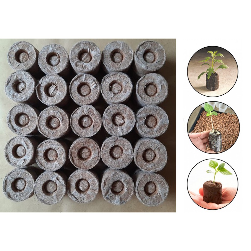 Viên nén ươm hạt xơ dừa