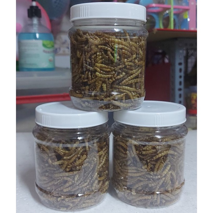 Sâu trung sấy cho hamster 50g