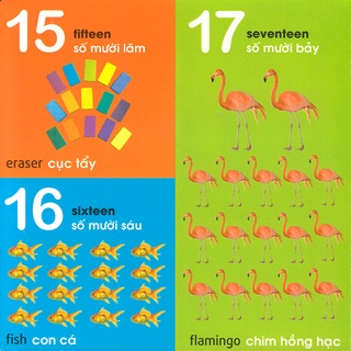 Sách - 101 First Words: Numbers - Shapes - Colours (101 Từ Đầu Tiên: Chữ Số - Hình Dạng - Màu Sắc)
