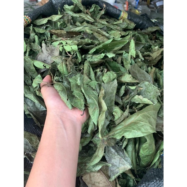 1Kg Xạ đen Hoà Bình (cả thân và lá) mát gan hỗ trợ u hạch