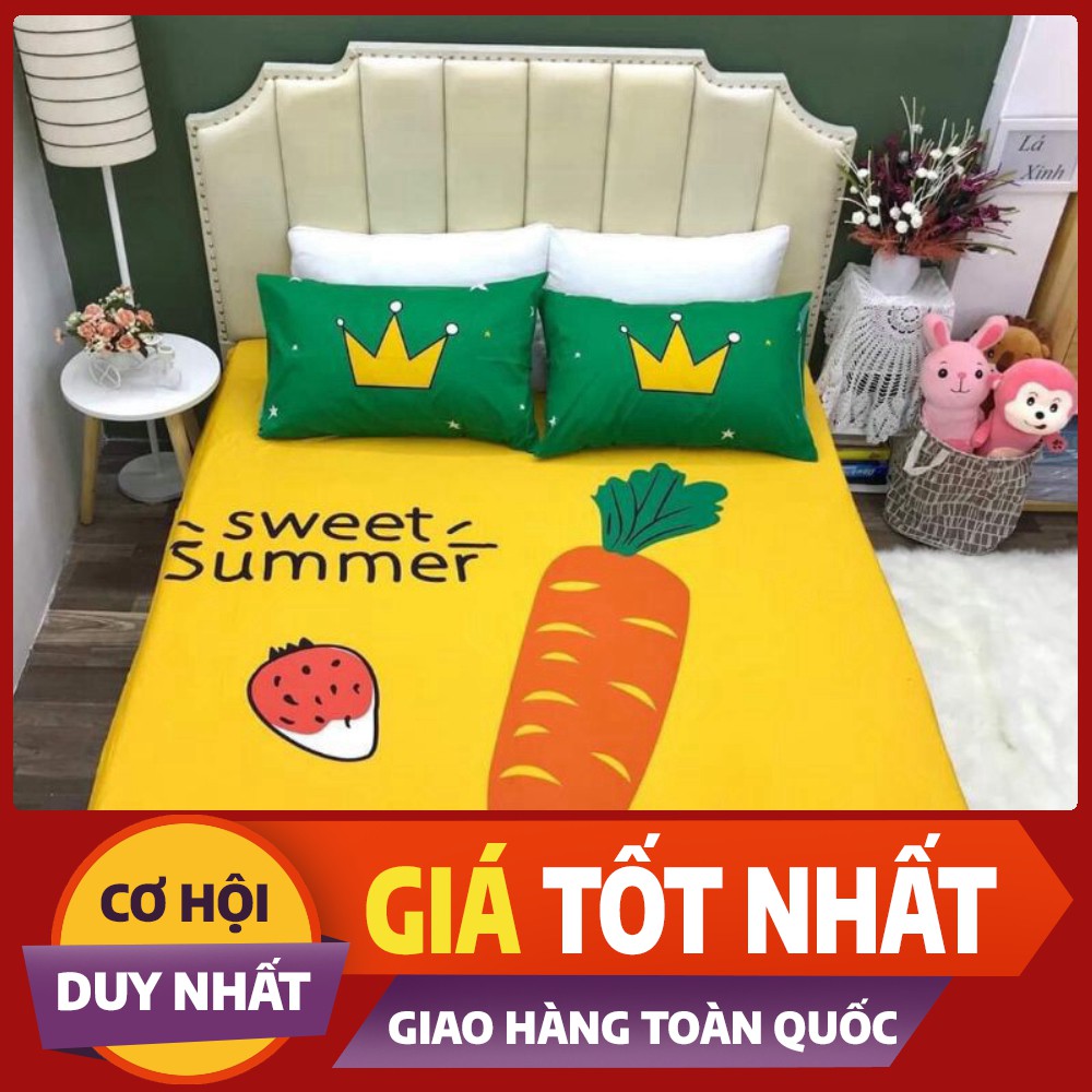 Bộ ga gối cotton 100% mềm mịn, thoáng mát, không xù, không phai