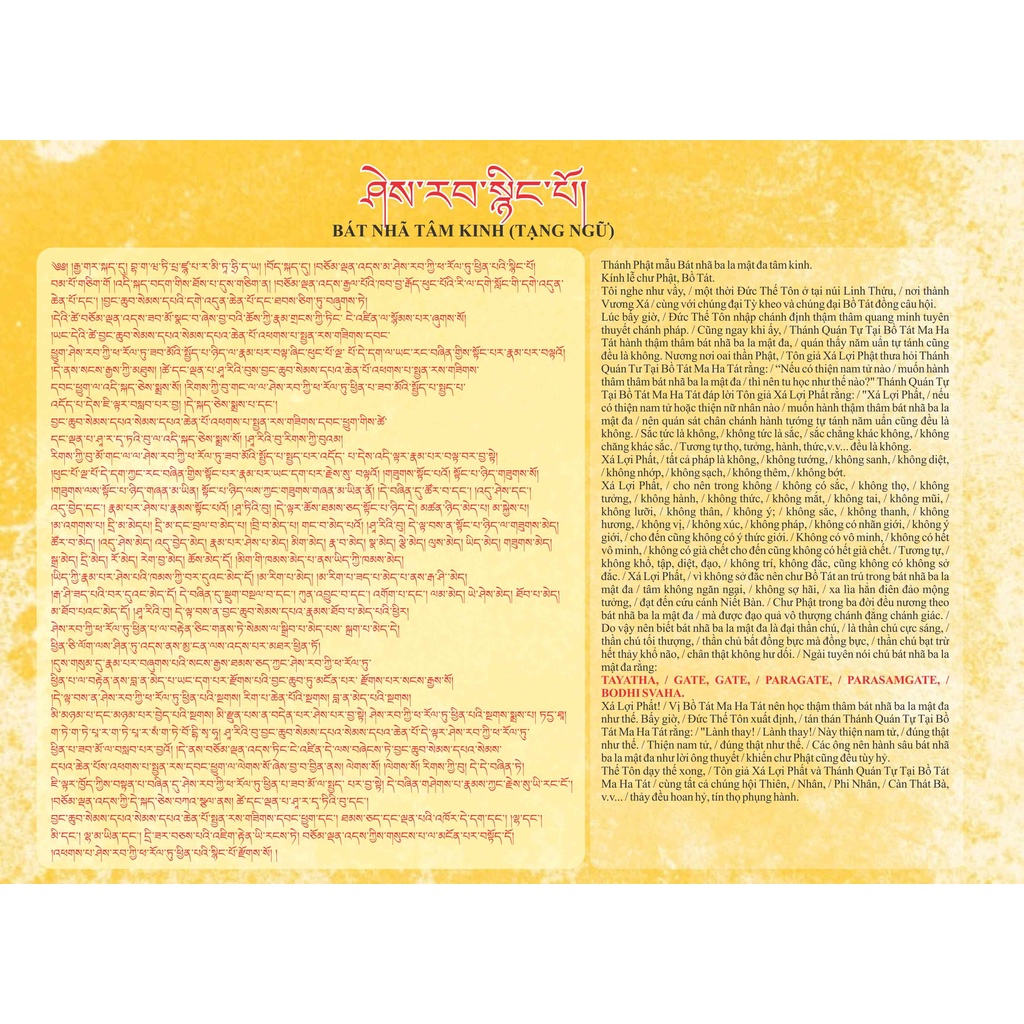 Tập viết chữ Tây Tạng  + tặng bảng tóm tắt.