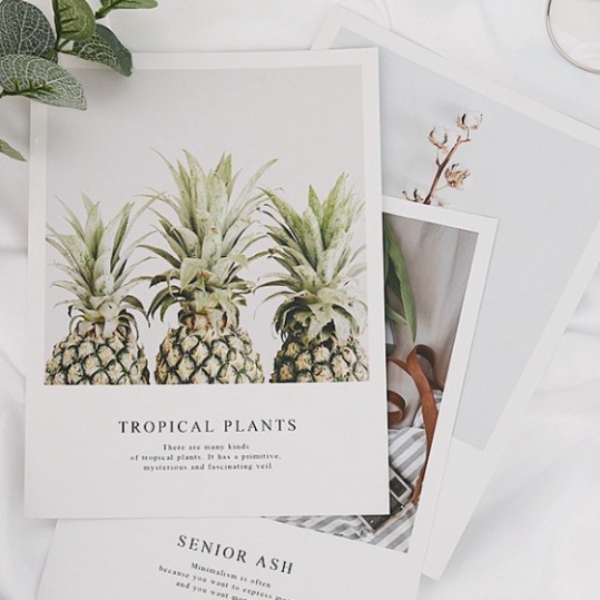 Ảnh bìa sách đẹp phụ kiện trang trí chụp ảnh sản phẩm xin xắn. postcard decor