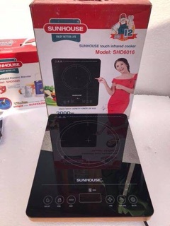 Bếp hồng ngoại 6016