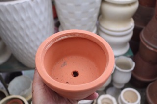 Chậu đất nung trồng cây