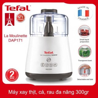 Máy xay thịt TEfal DPA171