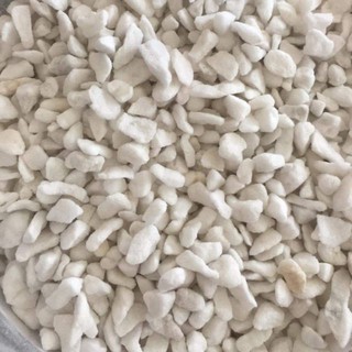 Đất ấp trứng chuyên dụng cho bò sát ( 1kg/bao )