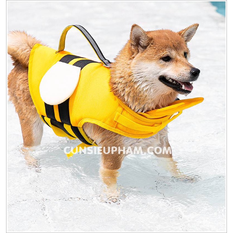 Áo phao bơi ong vàng đi biển cho chó mèo