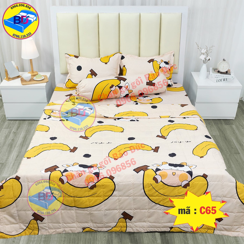 Bộ ga gối 1m6/1m8 drap giường poly , ga trải giường + 2 vỏ gối nằm cùng bộ