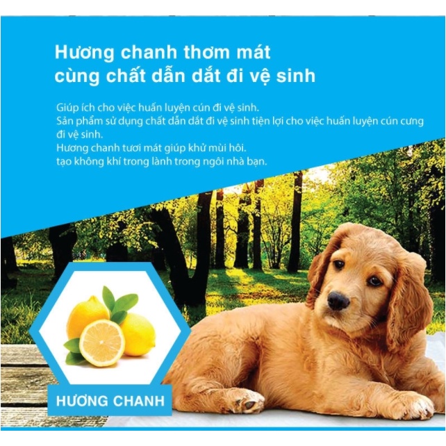 MIẾNG LÓT CHUỒNG CHO THÚ CƯNG