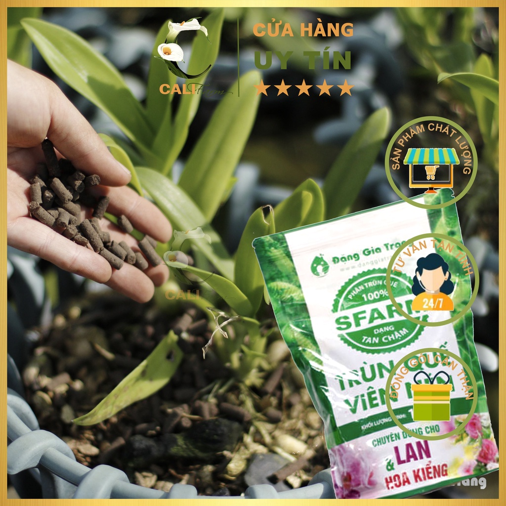 Phân Trùn Quế SFARM dạng viên tan chậm bón lan và hoa kiểng túi 1KG