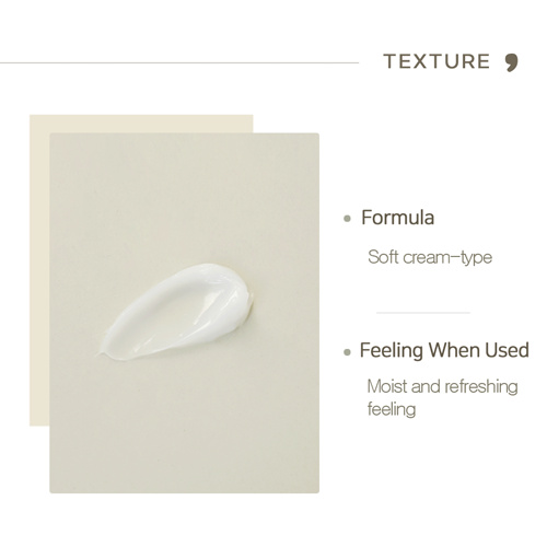 Kem dưỡng ẩm VIVID GLOSSY chiết xuất cây bạch dương chăm sóc da 80ml | BigBuy360 - bigbuy360.vn