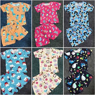 Set 2 bộ mặc nhà
