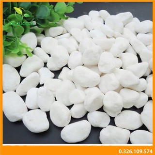 500g Sỏi Trắng trang trí chậu cây, vườn hoa, bể cá cảnh - Kích thước 2-3 cm