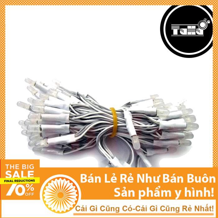 Led Liền Dây Phi 5 Màu Trắng 1 Cuộn 100 Led 200g