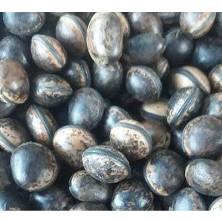 10 Hạt Đậu Lào Loại 01 355sp