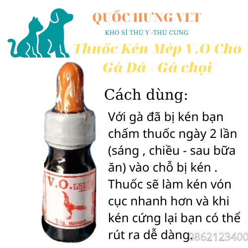 Kén mép, rách mép cho gà chọi tốt nhất Thái Lan V.O- QUỐC HƯNG VET