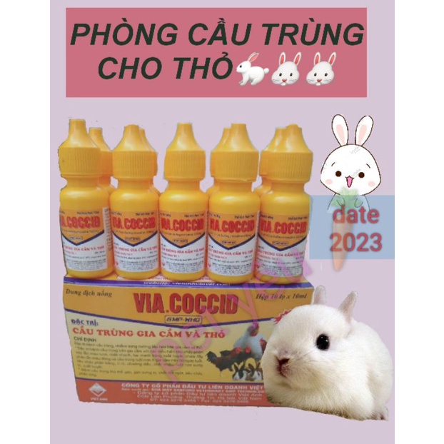 Cầu trùng( chai 10ml) cho thỏ con thỏ mẹ và thỏ trưởng thành