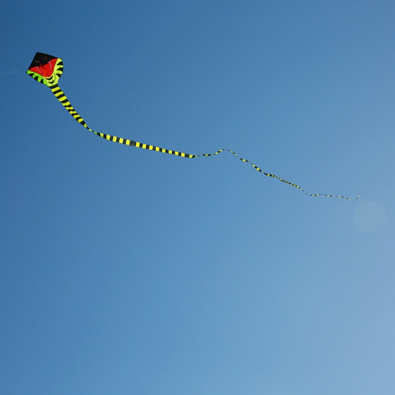 Diều Hình Rắn Đuôi Dài Màu Xanh Lá Phù Hợp Với Trẻ Em Và Người Mới Bắt Đầu