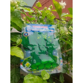 Hạt giống cải ngồng 101 Trung Nông TN 507 gói 20 gram
