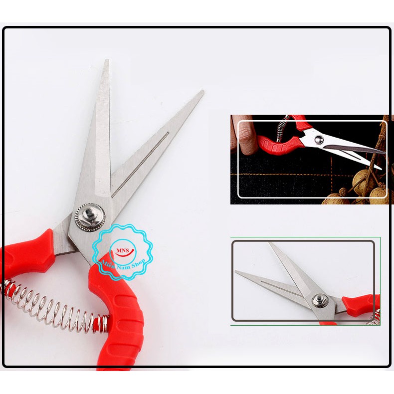 Combo 2 kéo cắt tỉa cành cây thép Nhật SK5 V8 + Kéo cắt rau, quả, tỉa nhánh, chi thép SK5