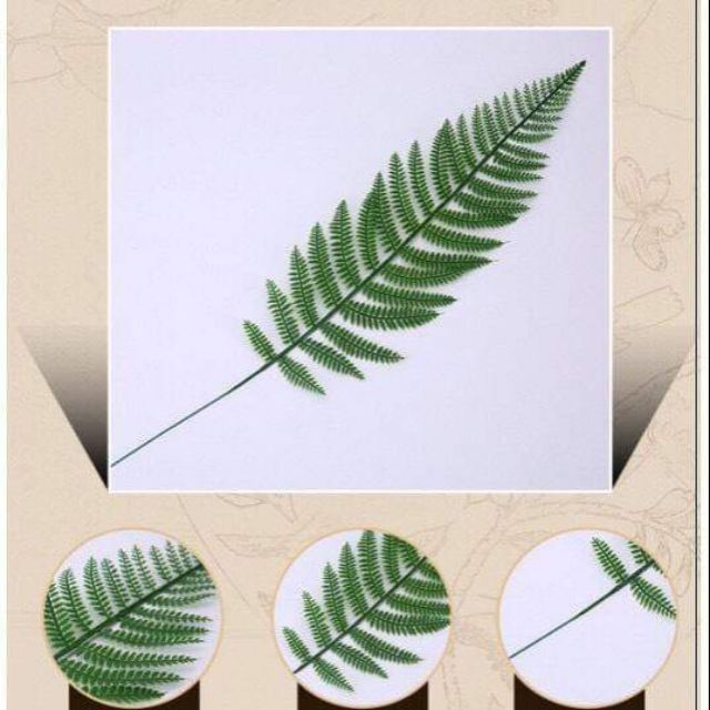 Combo 70 lá cây giả cắm lọ hoa