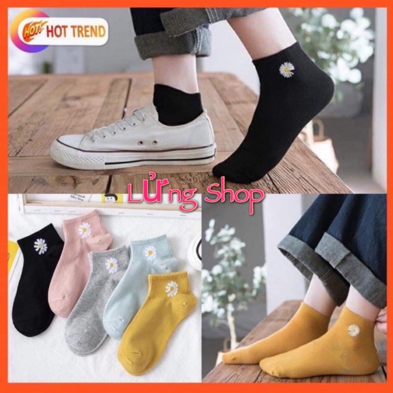 Combo 2 Đôi Tất Nữ Hoa Cúc