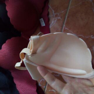Áo đúc su gân cao cấp 331