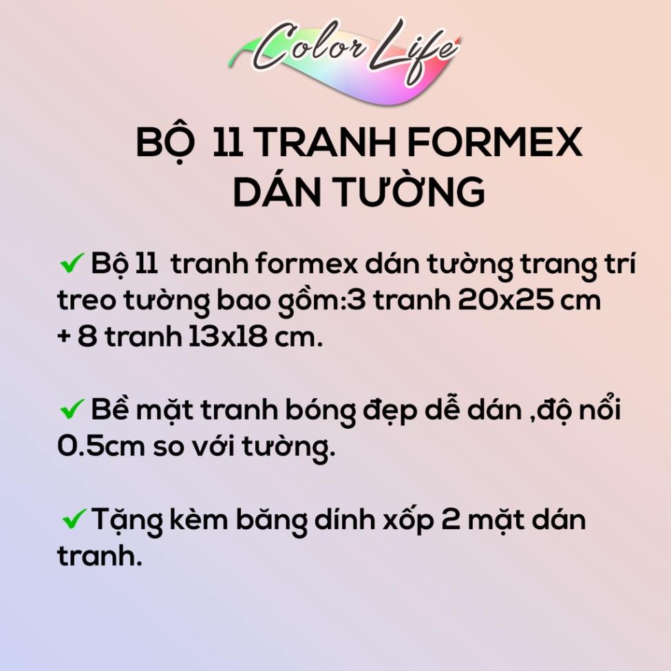 TRANH NAIL MI KHUNG ẢNH NAIL SIÊU ĐẸP GIÁ XƯỞNG SEONAIL2 ÁNH DƯƠNG SIÊU BỀN BẢO HÀNH 2 NĂM