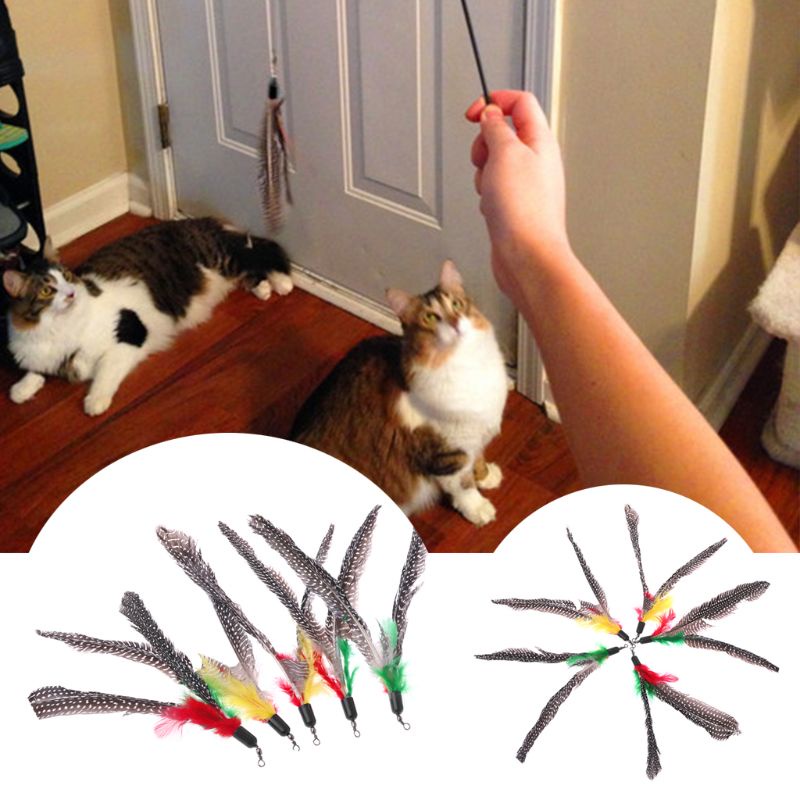 Đồ Chơi Lông Vũ Thay Thế Cho Mèo May Mắn