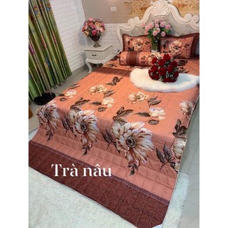 Chăn hè trần bông poly cotton ( được chọn mẫu)