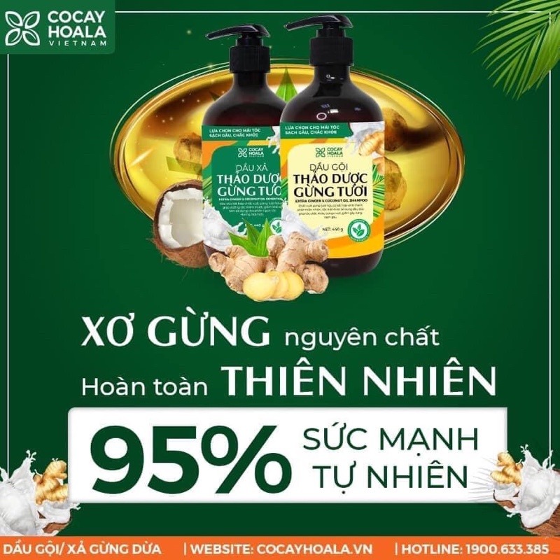 [Chính hãng] Combo 3 sản phẩm Bộ dầu gội và xả gừng dừa + Dung dịch x2 nano nghệ + Sữa tắm chống cảm gừng nghệ