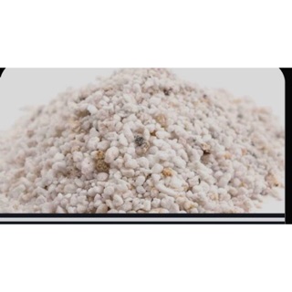 Đá perlite - trồng sen đá - xương rồng (500g)