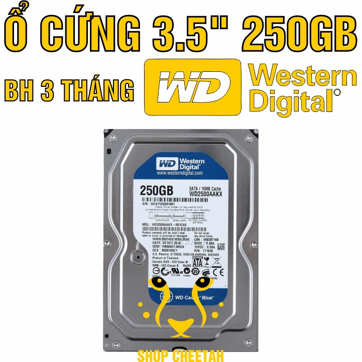 Ổ cứng 250GB Western Digital HDD 3.5” - Chính Hãng – Bảo hành 3 tháng – Tháo máy đồng bộ mới 99% - HDD WD xanh