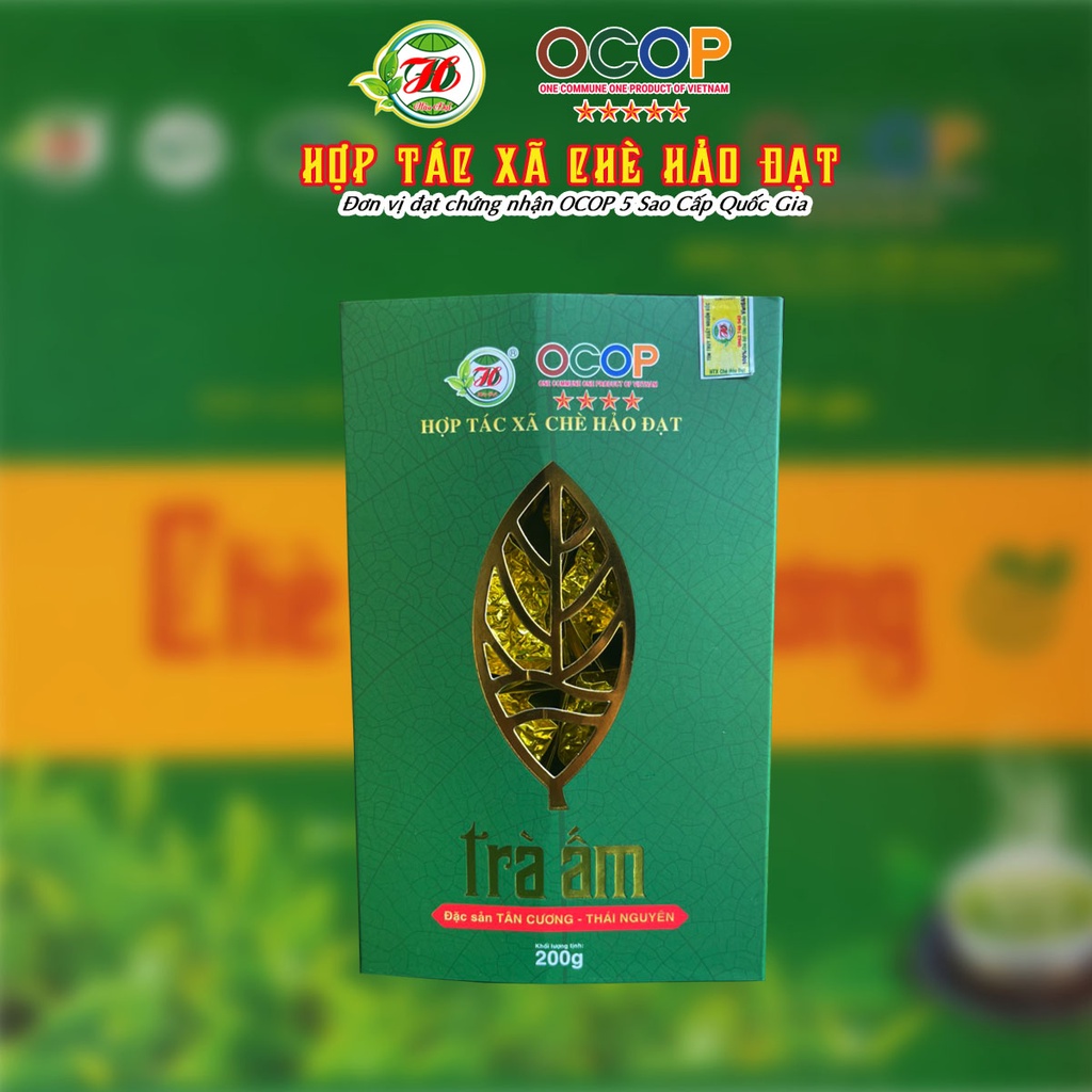 Chè Móc Câu Thái Nguyên Tân Cương HẢO ĐẠT Hộp Trà Ấm Xanh 200g/ 1hộp