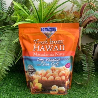 HẠT MẮC CA RANG KHÔ MACFARMS DRY ROASTED MACADAMIA NUTS WITH SEA SALT 680G