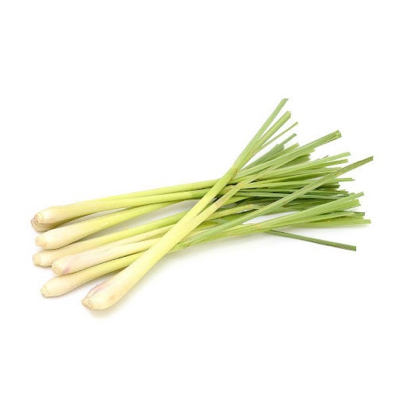 sả cây tươi- 1kg- ship hỏa tốc