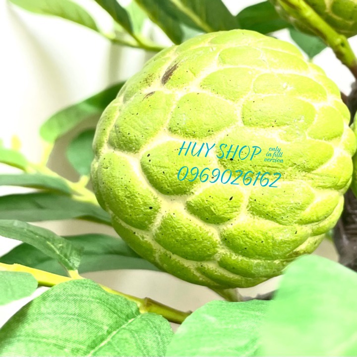 CHẬU CÂY TRÁI MÃNG CẦU NHÂN TẠO SỐ 1 TRANG TRÍ NHÀ CỬA