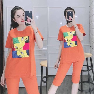 Đồ bộ lửng thun cotton 100% co giãn 4 chiều