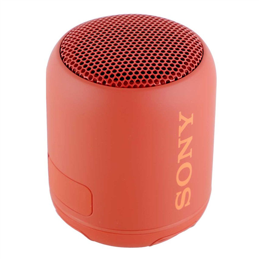 Loa Di Động Sony SRS-XB12/RC E