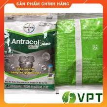 Trị nấm bệnh cho cây trồng Antracol 70wp - gói 100g