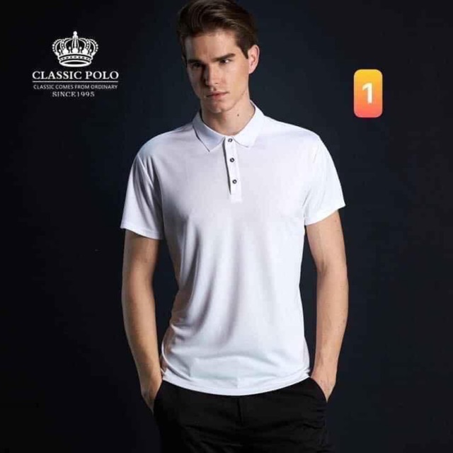 Polo nội địa nam