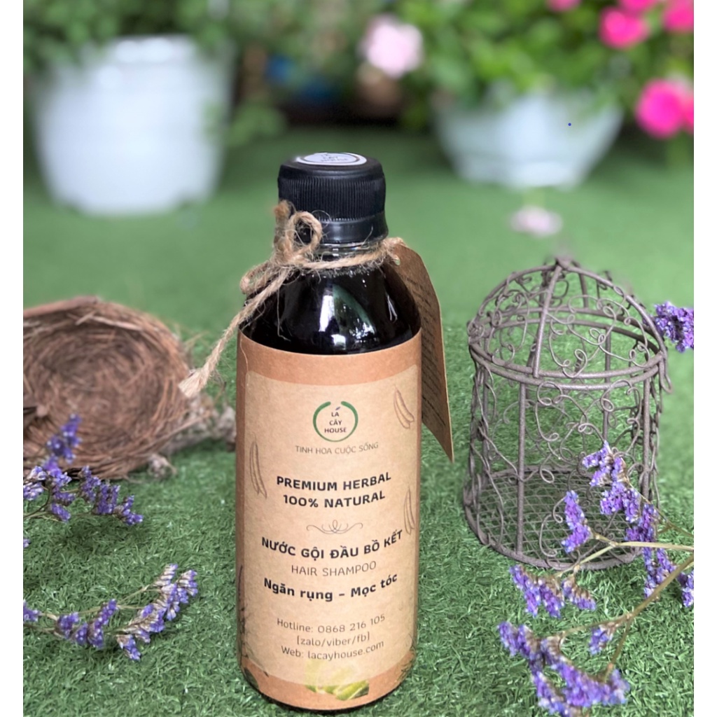 Dầu gội Bồ Kết Thảo Dược 250ML | BigBuy360 - bigbuy360.vn