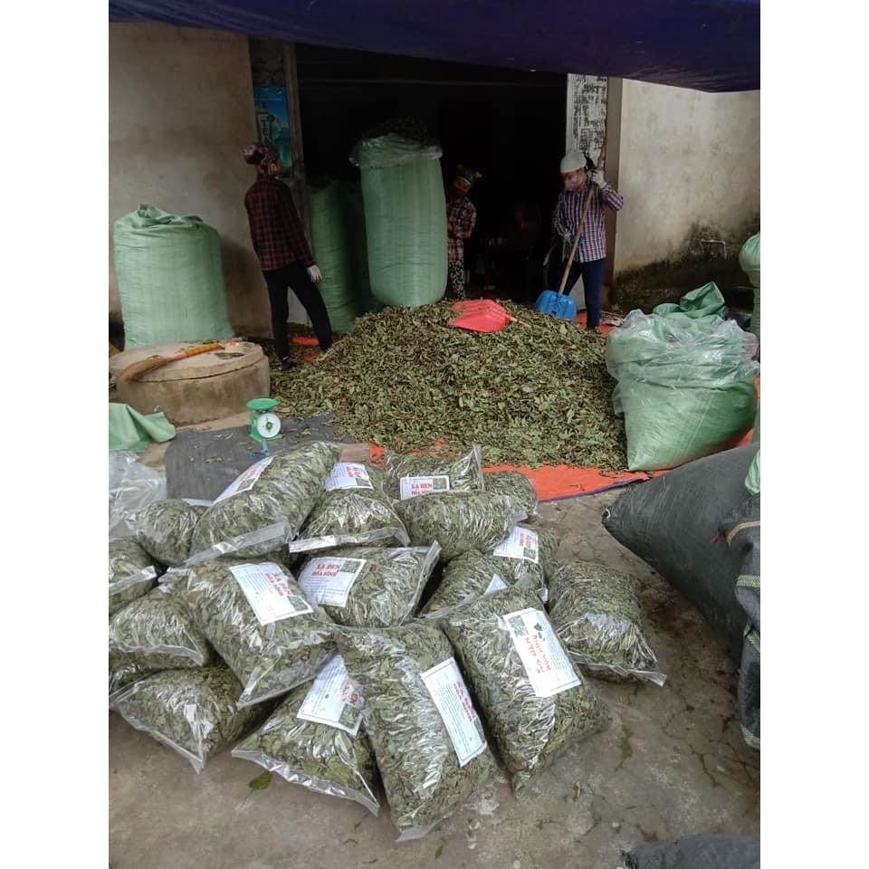 [Tổng Kho] 1kg Lá Xạ Đen Khô Hoà Bình Giúp Tiêu Viêm Giải Độc | BigBuy360 - bigbuy360.vn