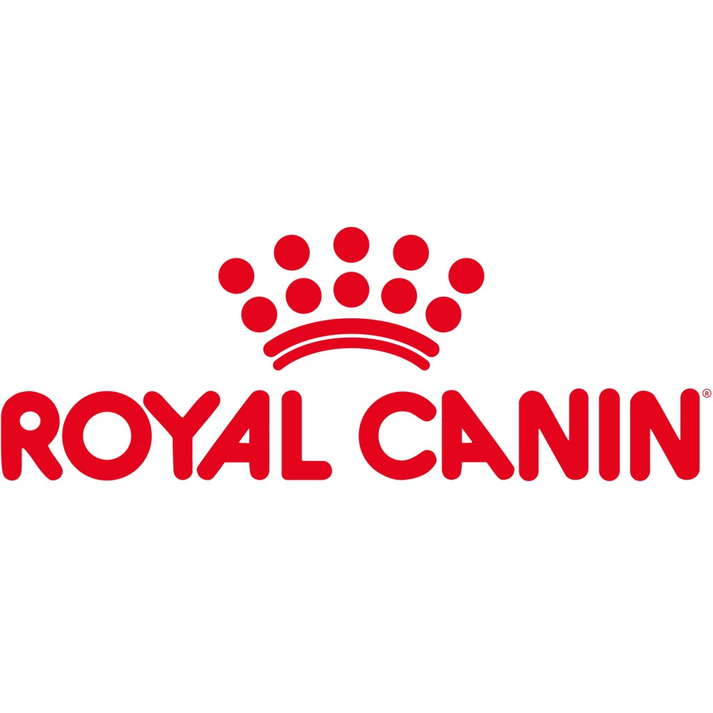 2kg - Hạt Renal Royal Canin hỗ trợ chức năng Thận dành cho Chó nhập Pháp