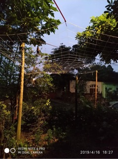Lưới quây sân 4x30