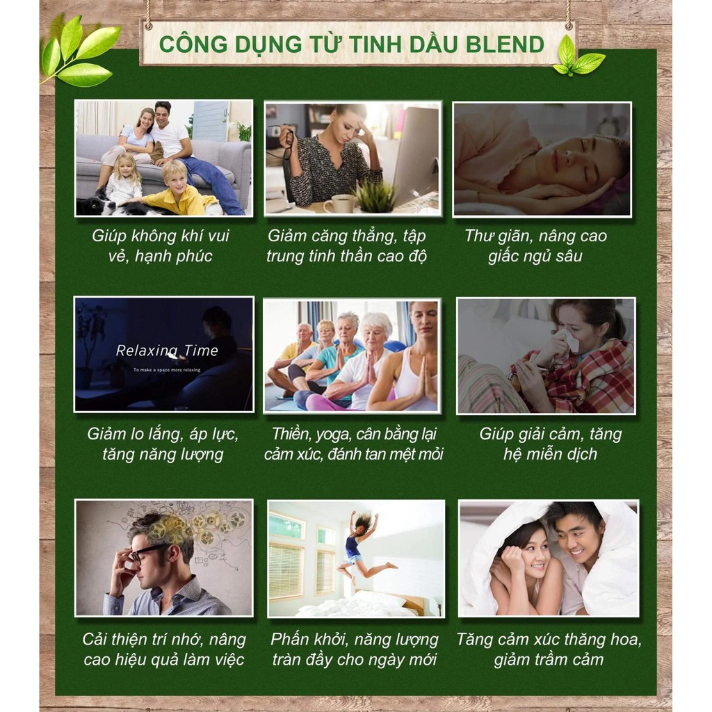 Tinh Dầu Cao Cấp Nomad Essential Oil Blend - 50ml