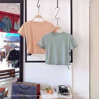 ORDER áo thun trơn basic